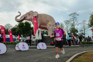 BIB: 
                            <button type="button" onclick="openModal(26528917)" class="btn btn-primary btn-sm float-right btn-popup" data-toggle="modal" data-target=".modal-high-quality">
                        <i class="fas fa-shopping-cart"></i> Add to Cart
                    </button>
                                            <button type="button" onclick="isThisMe(26528917, true)" class="btn btn-success btn-sm float-right btn-popup btn-isme hidden" data-toggle="tooltip" data-placement="bottom" title="นี่คือรูปของคุณใช่ไหม คลิกที่นี่เพื่อเอาเข้าอัลบั้ม">
                        <i class="fas fa-plus"></i> Add to album
                    </button>
                    <button type="button" onclick="isThisMe(26528917, false)" class="btn btn-warning btn-sm float-right btn-popup btn-isnotme hidden">
                        <i class="fas fa-ban"></i> Remove from album
                    </button>